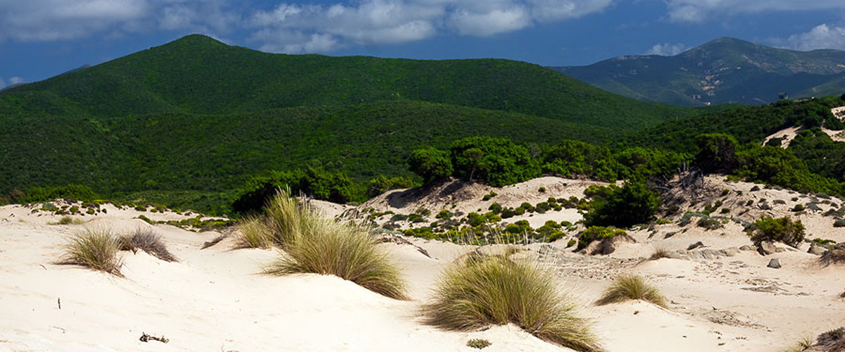 Sardegna Miniere nel Blu Contatti