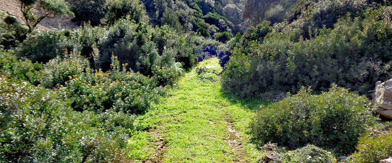 Miniere nel Blu Trekking Giornaliero Anello Pan di Zucchero Sentiero