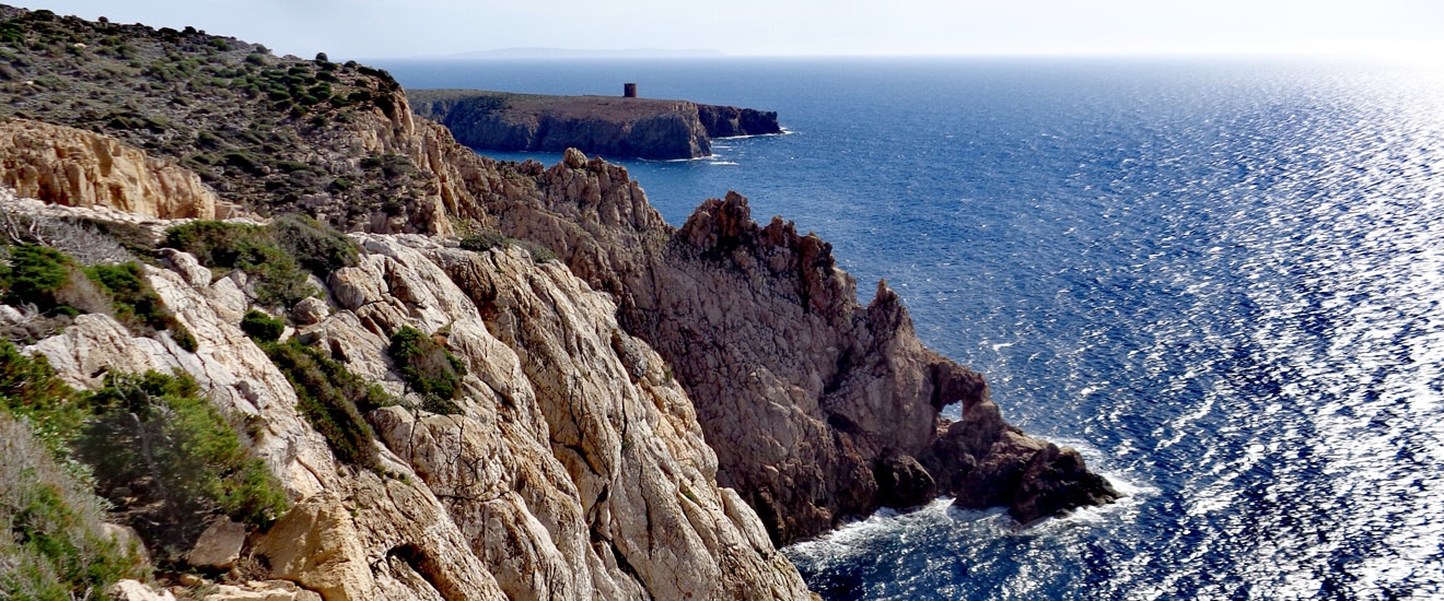 Minire nel Blu Punta Dentici